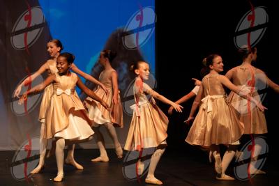 SHOW_00412.jpg